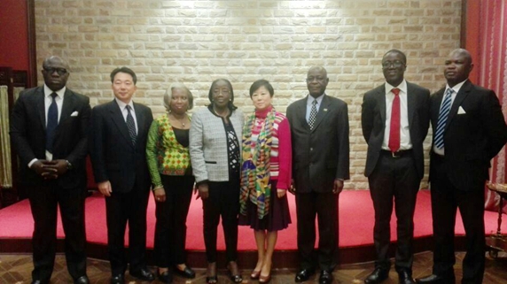 李小林会长会见加纳副总统夫人
