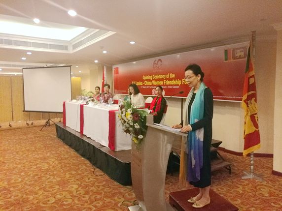 林怡副会长在中斯妇女论坛开幕式上致辞