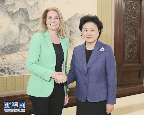 刘延东副总理会见国际救助儿童会首席执行官