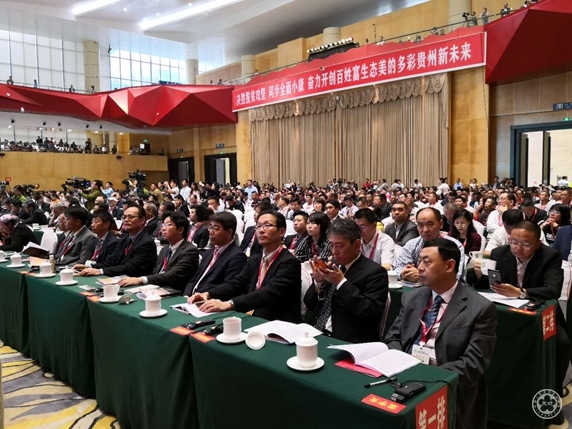 出席贵州茶文化节暨国际茶博会