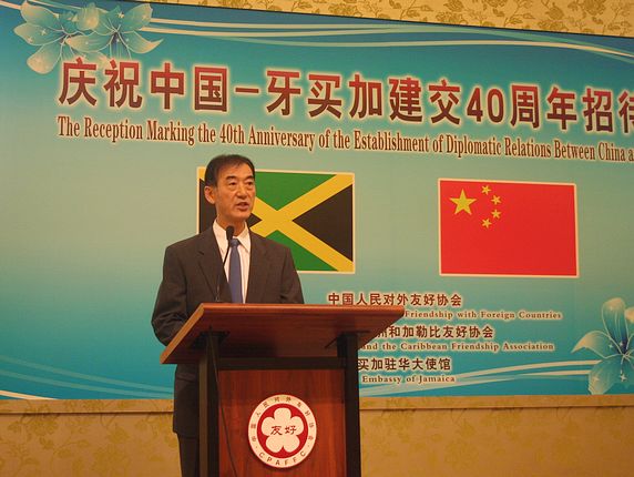 Vice President Li Jianping addressing the reception